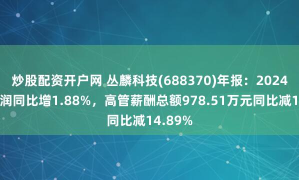 炒股配资开户网 丛麟科技(688370)年报：2024年净利润同比增1.88%，高管薪酬总额978.51万元同比减14.89%