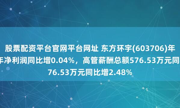股票配资平台官网平台网址 东方环宇(603706)年报：2024年净利润同比增0.04%，高管薪酬总额576.53万元同比增2.48%