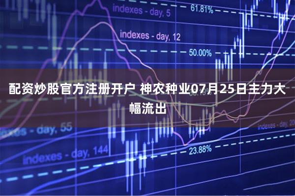 配资炒股官方注册开户 神农种业07月25日主力大幅流出