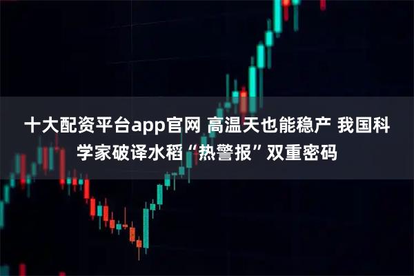 十大配资平台app官网 高温天也能稳产 我国科学家破译水稻“热警报”双重密码
